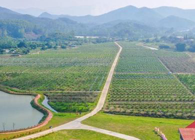 廣州市幸福田園蔬菜現(xiàn)代農業(yè)產業(yè)園區(qū)項目